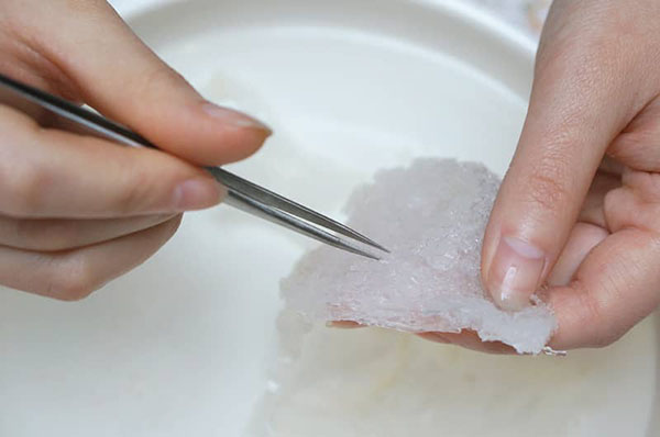 HƯỚNG DẪN NHẶT LÔNG TỔ YẾN